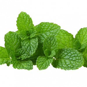 Mint Leaves/Pudina
