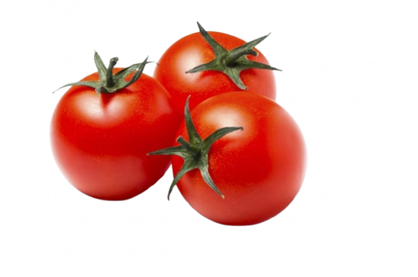 Tamato /Tamatar
