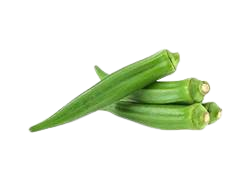 Ledy Finger / Bhindi