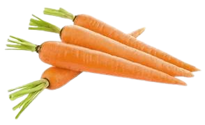 Carrot /Gajar