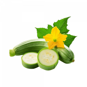 Spong-Gourd/Tori