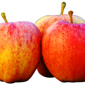 Red-Yellow Apple/Sev