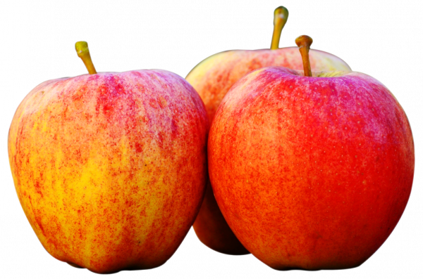 Red-Yellow Apple/Sev