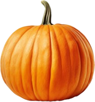 Pumpkin/Kaddu