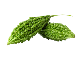 Bittar Gourd/Karela