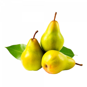 Pearnashpati